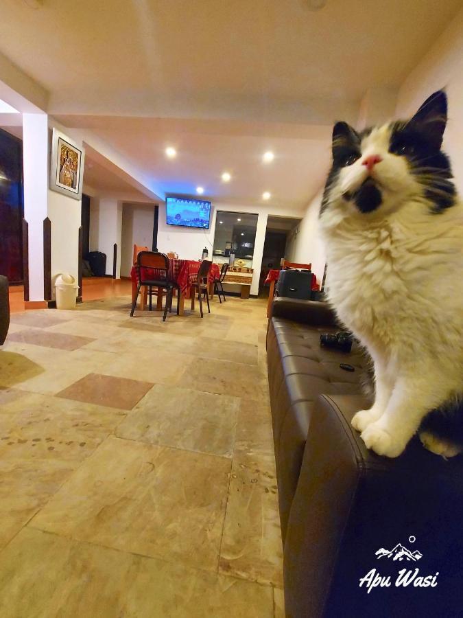 Apu Wasi Hostel Куско Екстериор снимка